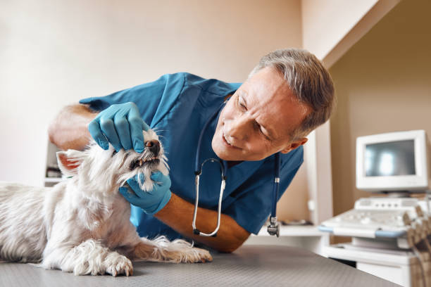 Best Pediatric Emergency Dentist in The Village Of Indian Hill, OH